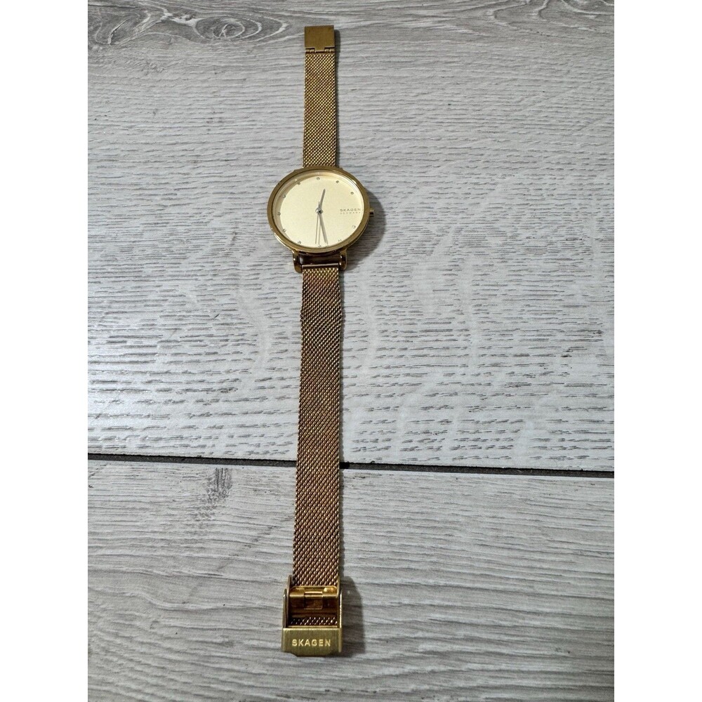 Vintage Skagen SKW7206 Gold Dial Gold Tone Mesh Bracelet Women's Watch